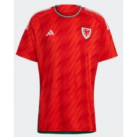 Wales Domáci futbalový dres MS 2022 Krátky Rukáv
